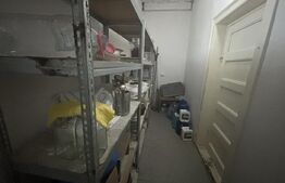 Casă 140 mp, cu teren 3.800 mp, Tătărăști