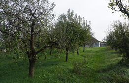 Casă 140 mp, cu teren 3.800 mp, Tătărăști