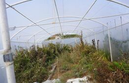 Casă 140 mp, cu teren 3.800 mp, Tătărăști