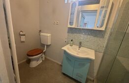 Casă 140 mp, cu teren 3.800 mp, Tătărăști