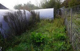 Casă 140 mp, cu teren 3.800 mp, Tătărăști