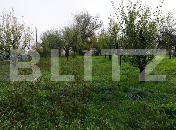 Casa de vânzare 4 camere Exterior Est - 186211CV | BLITZ Satu Mare | Poza9