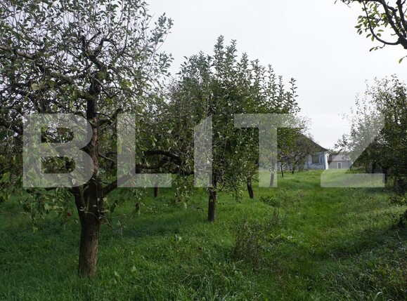 Casa de vânzare 4 camere Exterior Est - 186211CV | BLITZ Satu Mare | Poza13