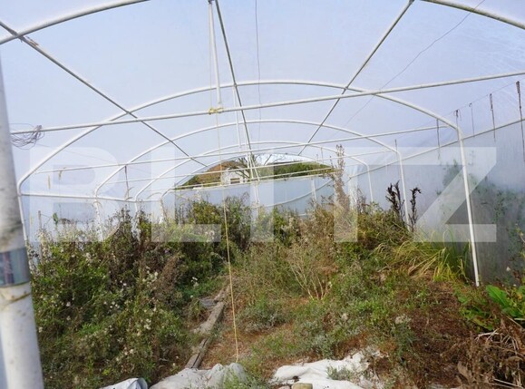 Casa de vânzare 4 camere Exterior Est - 186211CV | BLITZ Satu Mare | Poza6