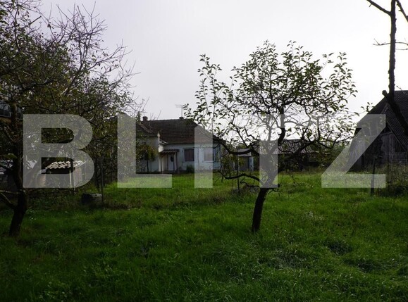 Casa de vânzare 4 camere Exterior Est - 186211CV | BLITZ Satu Mare | Poza11
