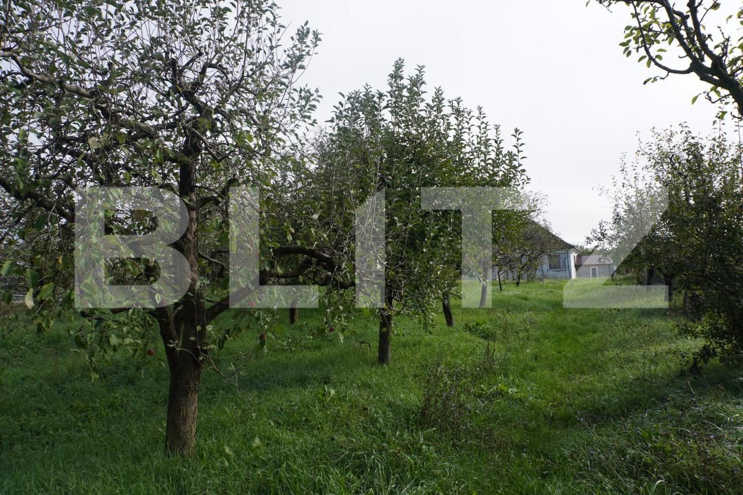 Casa de vânzare 4 camere Exterior Est - 186211CV | BLITZ Satu Mare | Poza13