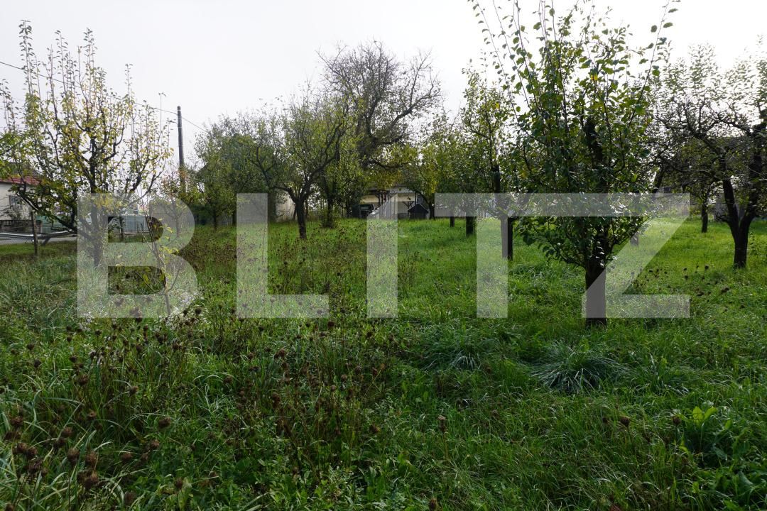 Casa de vânzare 4 camere Exterior Est - 186211CV | BLITZ Satu Mare | Poza9