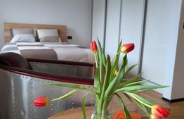 Apartament de inchiriat , suprafata 46 mp, zona Micro 16