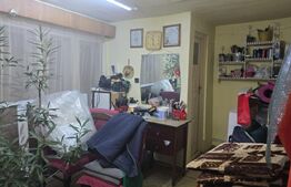 Casa 6 camere, 227 mp, teren 444 mp, zona Nord