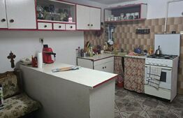 Casa 6 camere, 227 mp, teren 444 mp, zona Nord