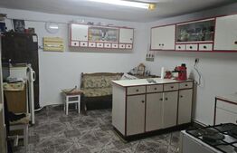 Casa 6 camere, 227 mp, teren 444 mp, zona Nord