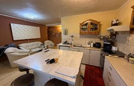 Casă ultracentrală, 2 apartamente, 110 mp, zona Ultracentral