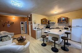 Casă ultracentrală, 2 apartamente, 110 mp, zona Ultracentral