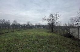 Casa tip P+E, 142 Mp utili, 1371mp teren, Paulesti 