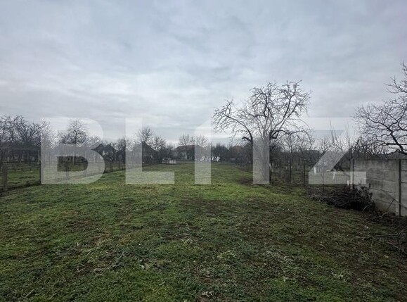 Casa de vânzare 4 camere Paulesti - 187031CV | BLITZ Satu Mare | Poza8