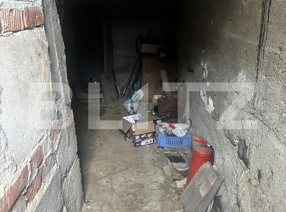 Casa de vânzare 4 camere Paulesti - 187031CV | BLITZ Satu Mare | Poza10