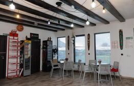 Casa cu mansarda de vanzare, 150 mp, teren 532 mp, in Lazuri