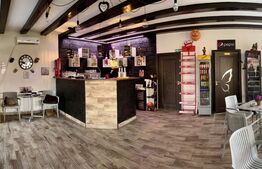 Casa de vânzare 4 camere Bercu Rosu - 190247CV | BLITZ Satu Mare | Poza5