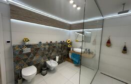 Casă de vânzare, 298 mp, zona Titulescu