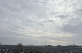 Teren de vânzare Sud-Est - 192061TV | BLITZ Satu Mare | Poza1