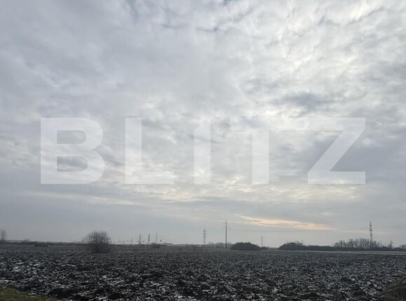 Teren de vânzare Periferie - 187364TV | BLITZ Satu Mare | Poza1