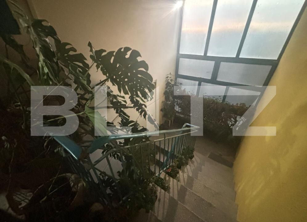 Apartament de vânzare 3 camere Closca - 187492AV | BLITZ Satu Mare | Poza9