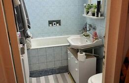 Apartament de vanzare, 47.50 mp, zona Semicentrala