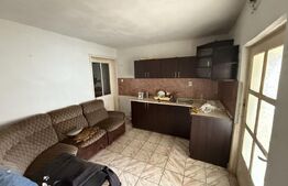 Casă de vânzare | Livada, jud. Satu Mare 150 mp teren 24 ari