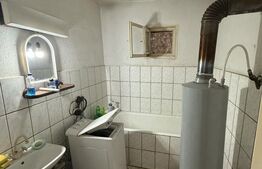 Casă de vânzare | Livada, jud. Satu Mare 150 mp teren 24 ari