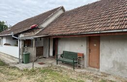 Casă de vânzare | Livada, jud. Satu Mare 150 mp teren 24 ari