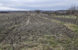 Teren intravilan - livada si vie- 20 ari - Viile SATU MARE