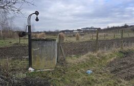 Teren intravilan - livada si vie- 20 ari - Viile SATU MARE