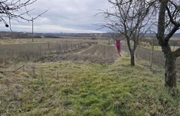 Teren intravilan - livada si vie- 20 ari - Viile SATU MARE