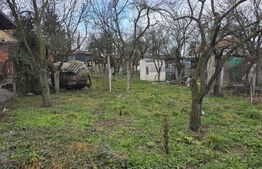 Teren intravilan - livada si vie- 20 ari - Viile SATU MARE