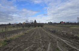 Teren intravilan - livada si vie- 20 ari - Viile SATU MARE