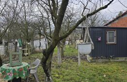 Teren intravilan - livada si vie- 20 ari - Viile SATU MARE