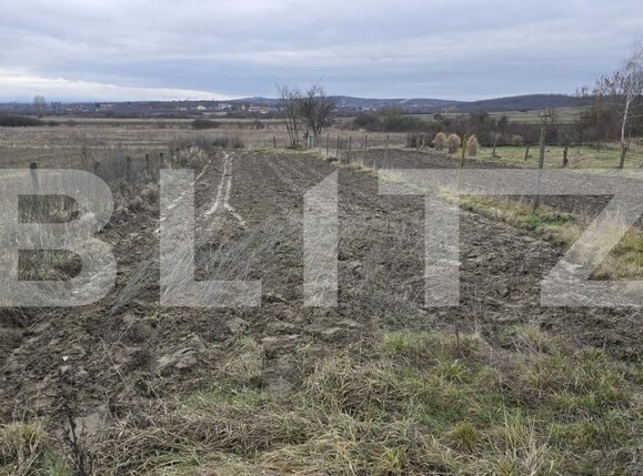 Teren de vânzare Viile Satu Mare - 187762TV | BLITZ Satu Mare | Poza9