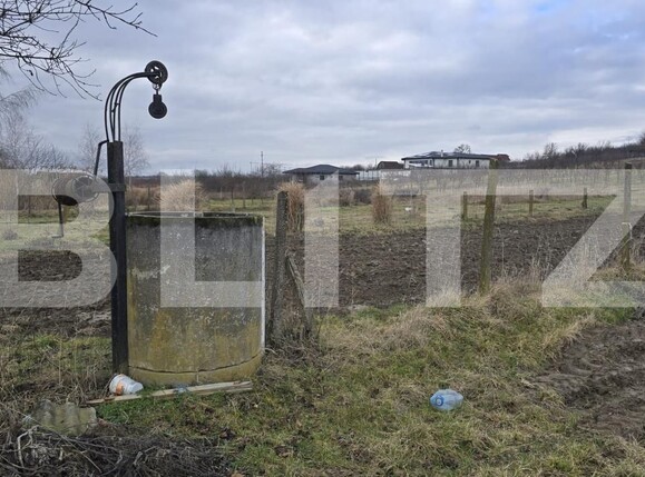 Teren de vânzare Viile Satu Mare - 187762TV | BLITZ Satu Mare | Poza13