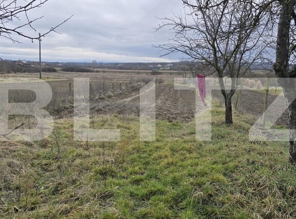 Teren de vânzare Viile Satu Mare - 187762TV | BLITZ Satu Mare | Poza8