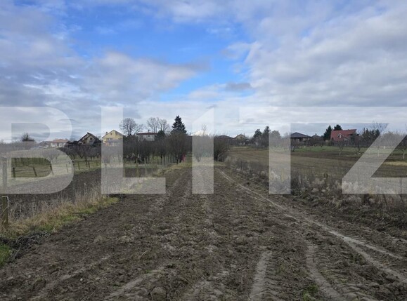 Teren de vânzare Viile Satu Mare - 187762TV | BLITZ Satu Mare | Poza2