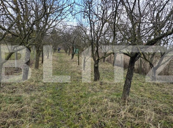 Teren de vânzare Viile Satu Mare - 187762TV | BLITZ Satu Mare | Poza1