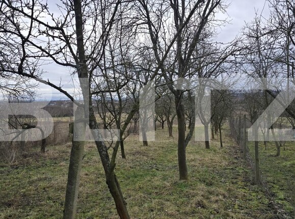 Teren de vânzare Viile Satu Mare - 187762TV | BLITZ Satu Mare | Poza12