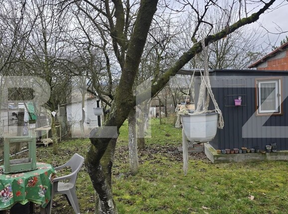 Teren de vânzare Viile Satu Mare - 187762TV | BLITZ Satu Mare | Poza7