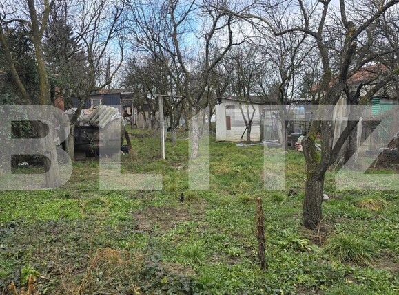 Teren de vânzare Viile Satu Mare - 187762TV | BLITZ Satu Mare | Poza6