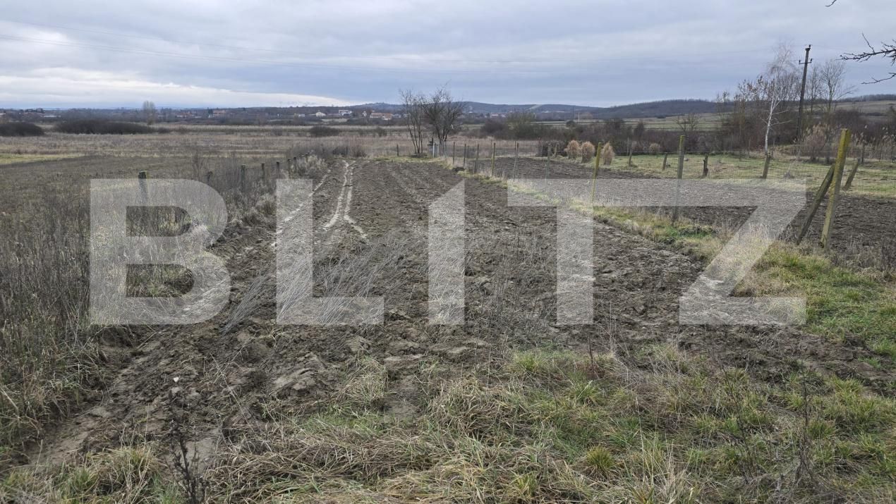 Teren de vânzare Viile Satu Mare - 187762TV | BLITZ Satu Mare | Poza9