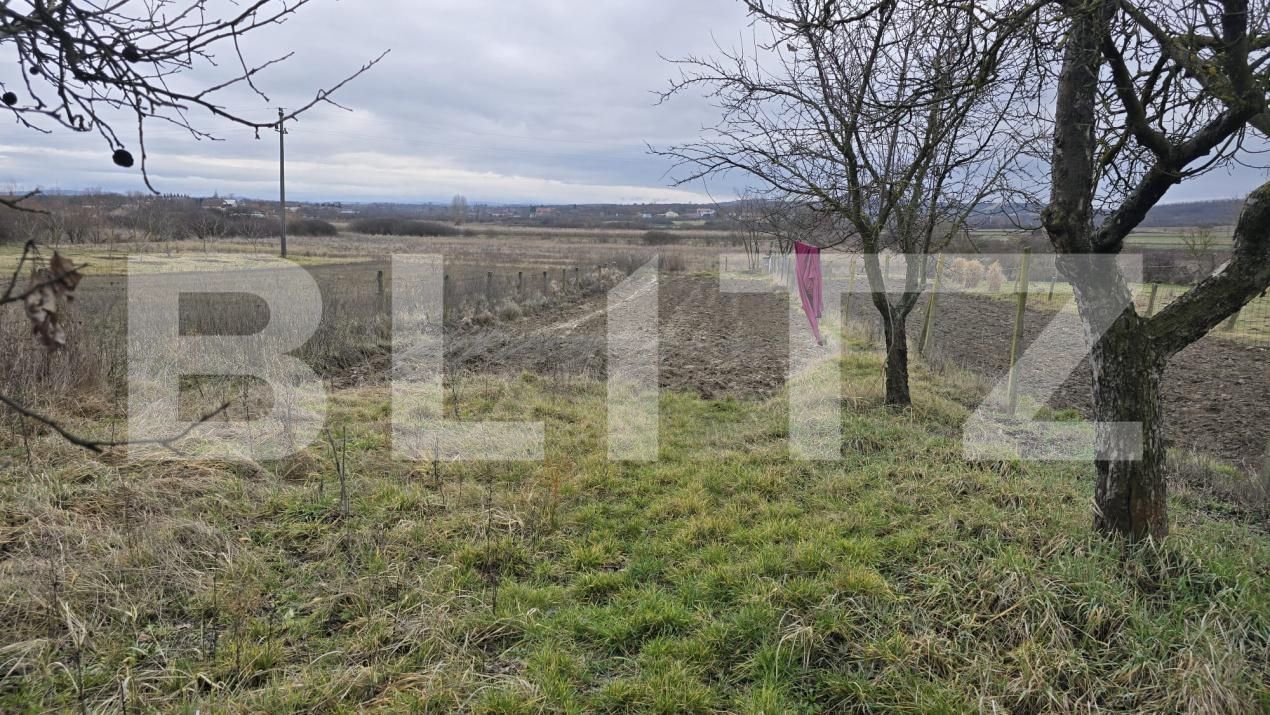 Teren de vânzare Viile Satu Mare - 187762TV | BLITZ Satu Mare | Poza8