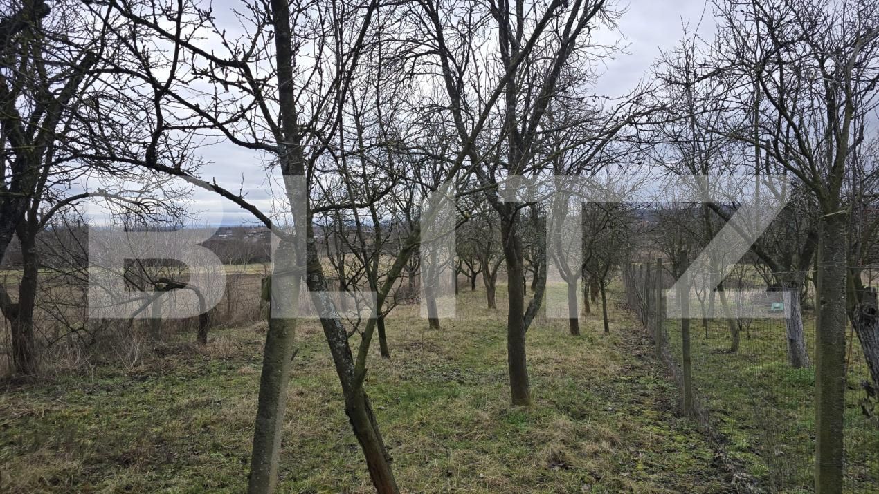 Teren de vânzare Viile Satu Mare - 187762TV | BLITZ Satu Mare | Poza12