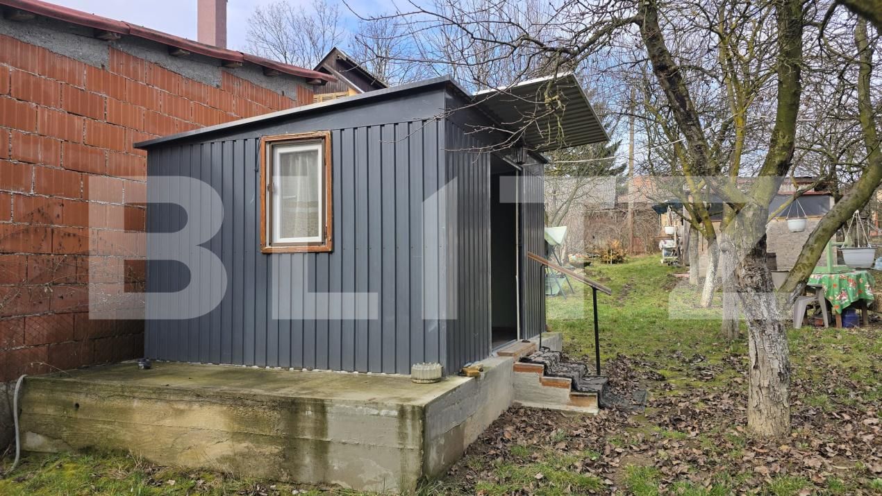 Teren de vânzare Viile Satu Mare - 187762TV | BLITZ Satu Mare | Poza3