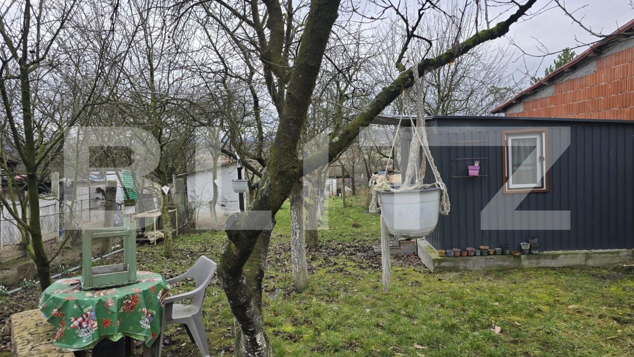 Teren de vânzare Viile Satu Mare - 187762TV | BLITZ Satu Mare | Poza7