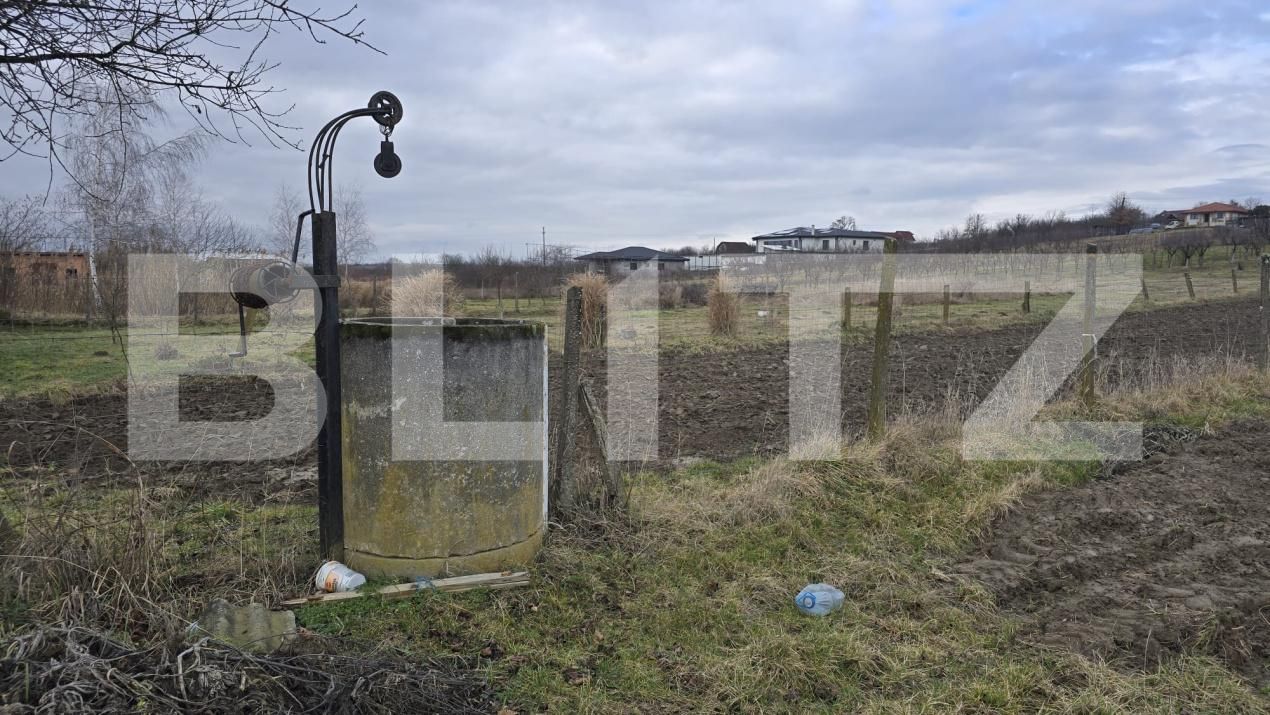 Teren de vânzare Viile Satu Mare - 187762TV | BLITZ Satu Mare | Poza13